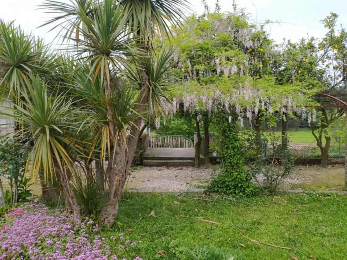 Vila Casa De Sta Comba Barcelos Exteriér fotografie