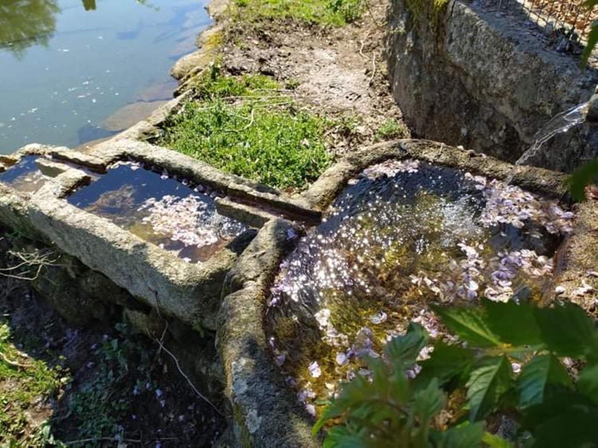 Vila Casa De Sta Comba Barcelos Exteriér fotografie