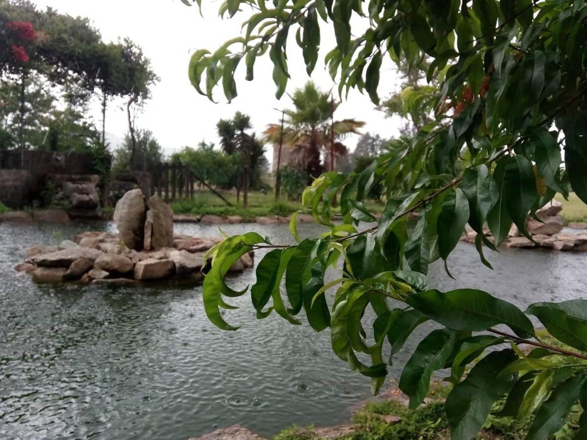 Vila Casa De Sta Comba Barcelos Exteriér fotografie